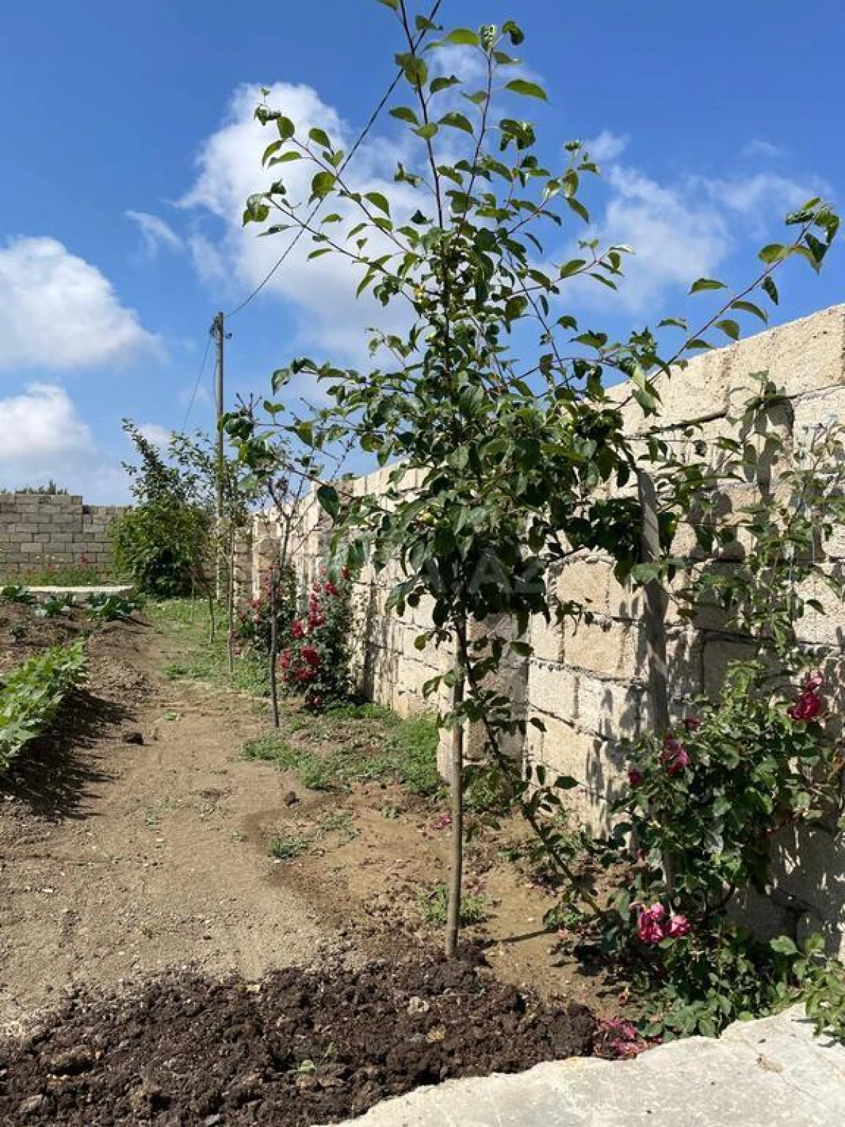 Satılır 5 otaqlı həyət evi 169 m²