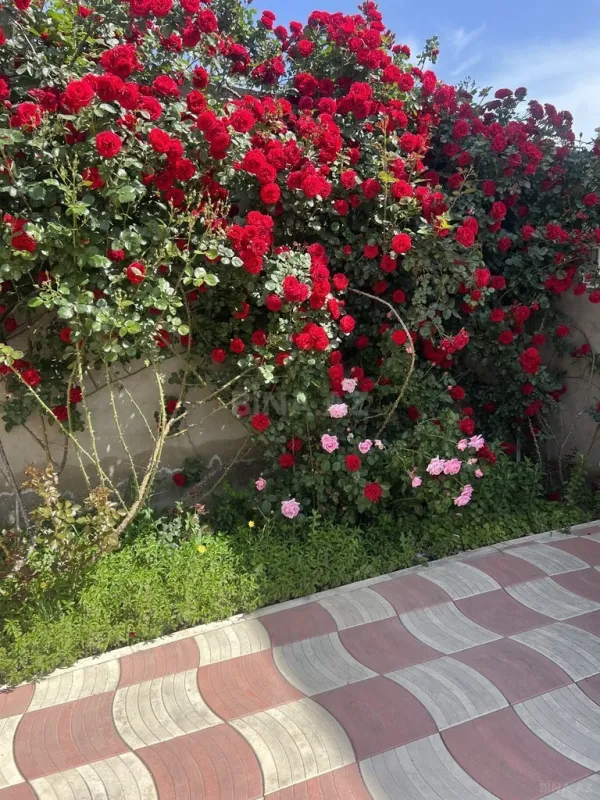 Satılır 3 otaqlı həyət evi 135 m²