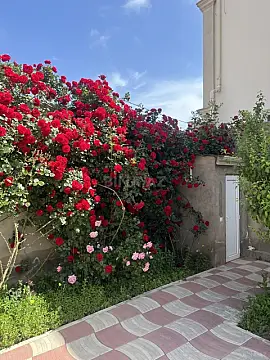 Satılır 3 otaqlı həyət evi 135 m²