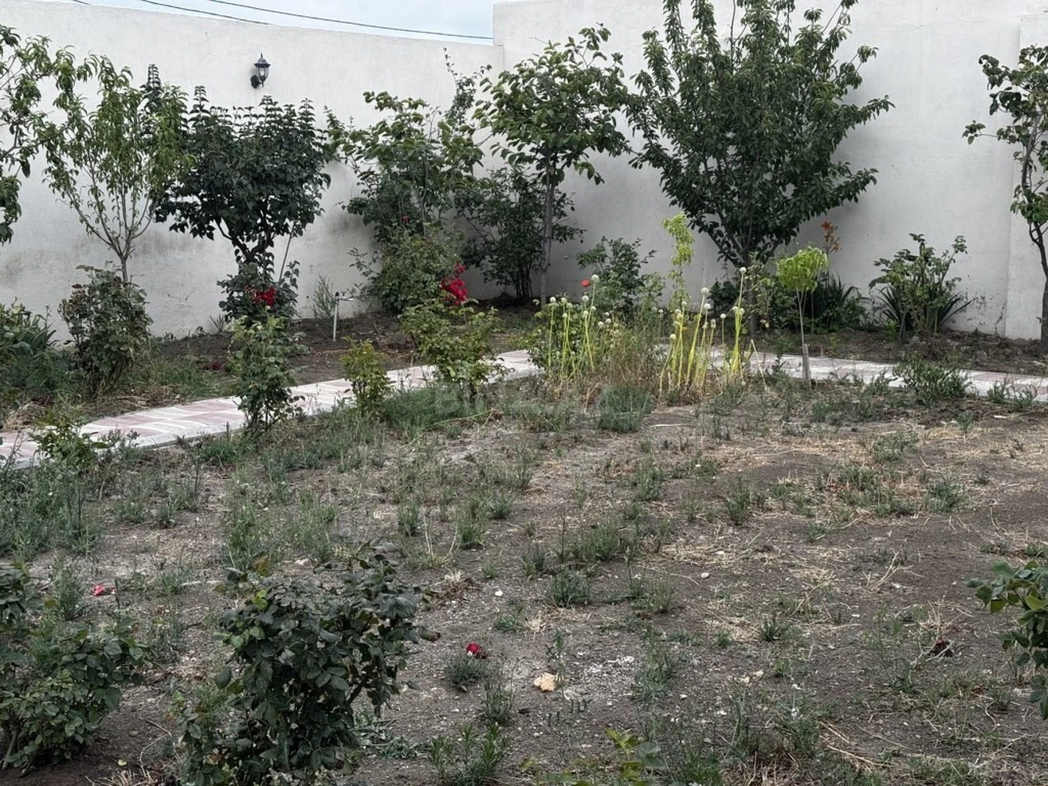 Satılır 3 otaqlı həyət evi 135 m²
