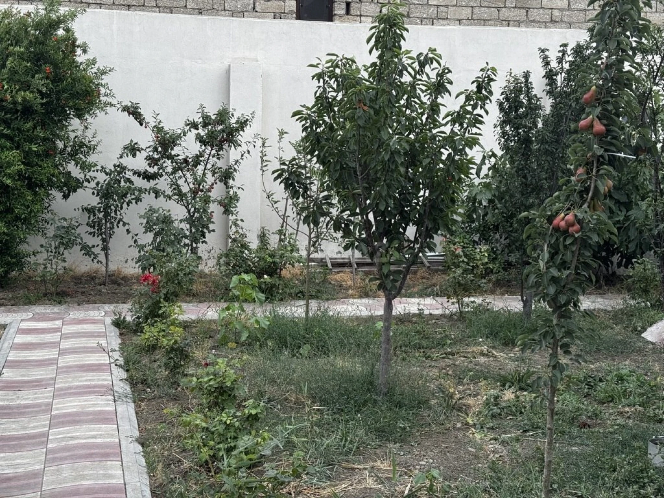 Satılır 3 otaqlı həyət evi 135 m²