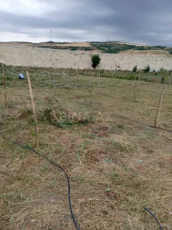 Satılır torpaq sahəsi 12 m²