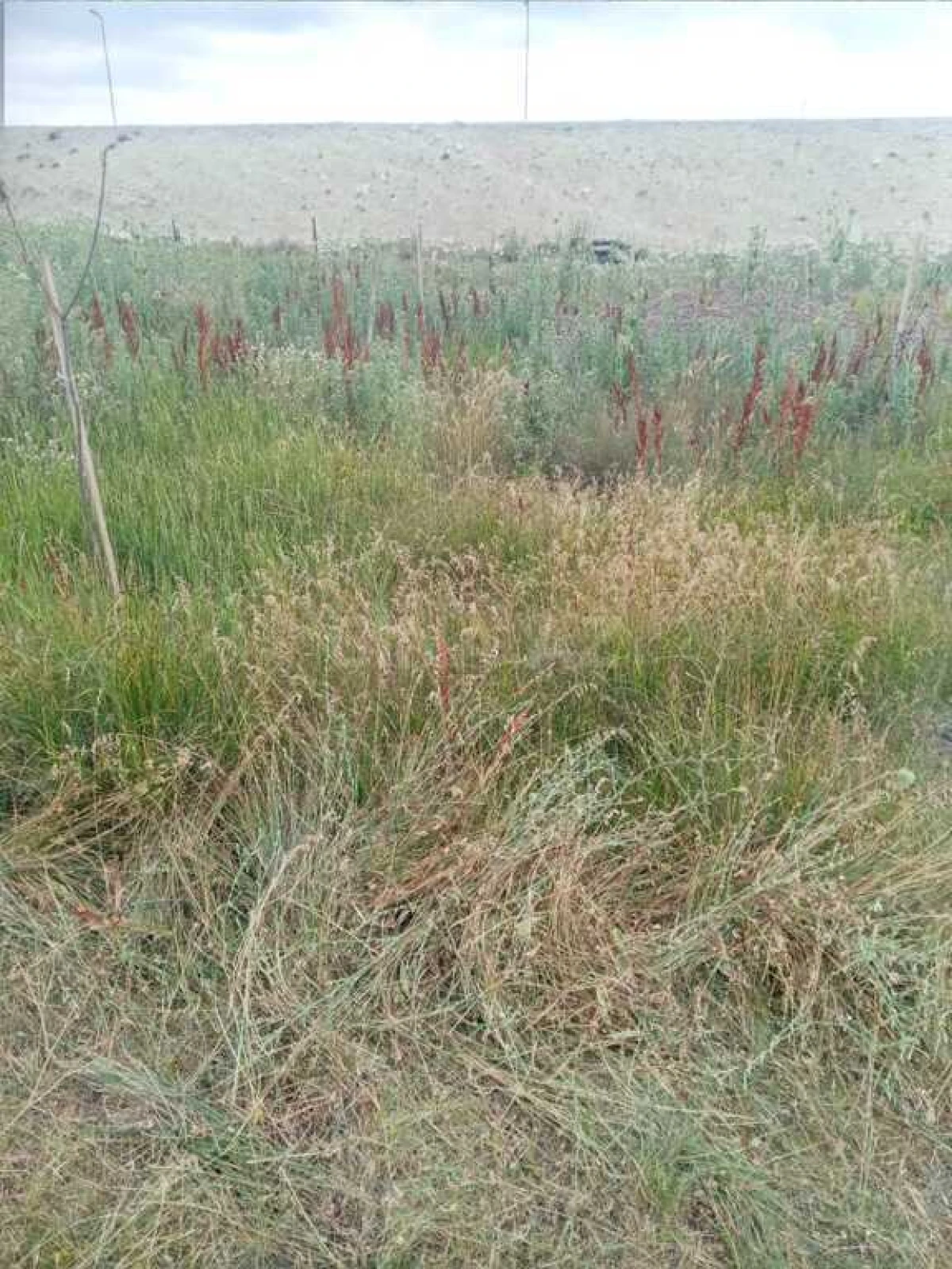 Satılır torpaq sahəsi 12 m²