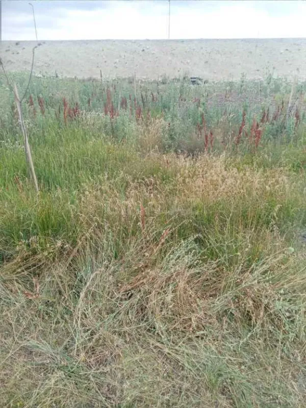 Satılır torpaq sahəsi 12 m²