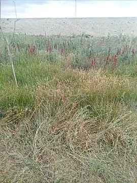 Satılır torpaq sahəsi 12 m²