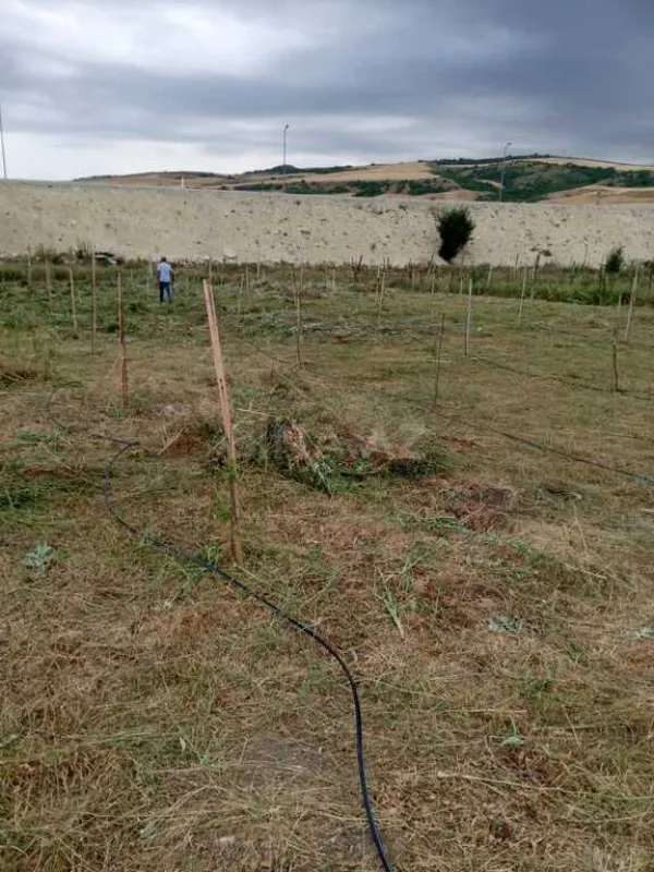 Satılır torpaq sahəsi 12 m²