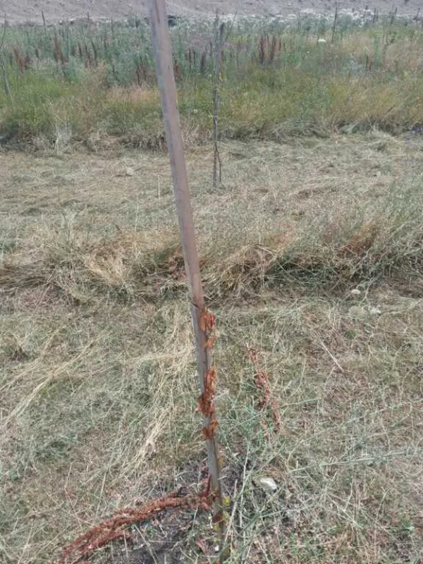 Satılır torpaq sahəsi 12 m²