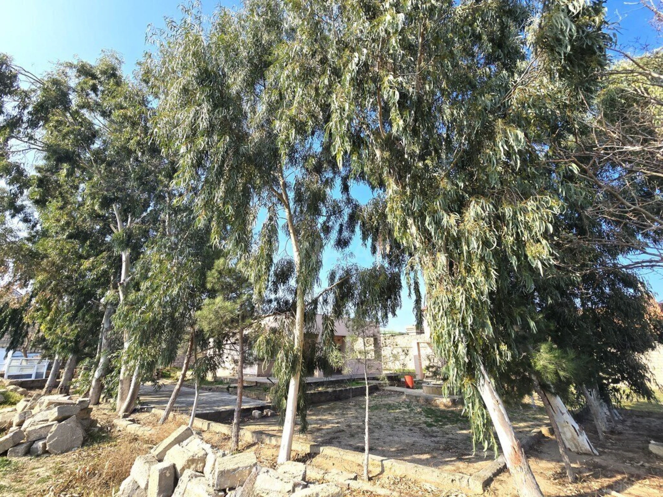 Satılır torpaq sahəsi 100 m²