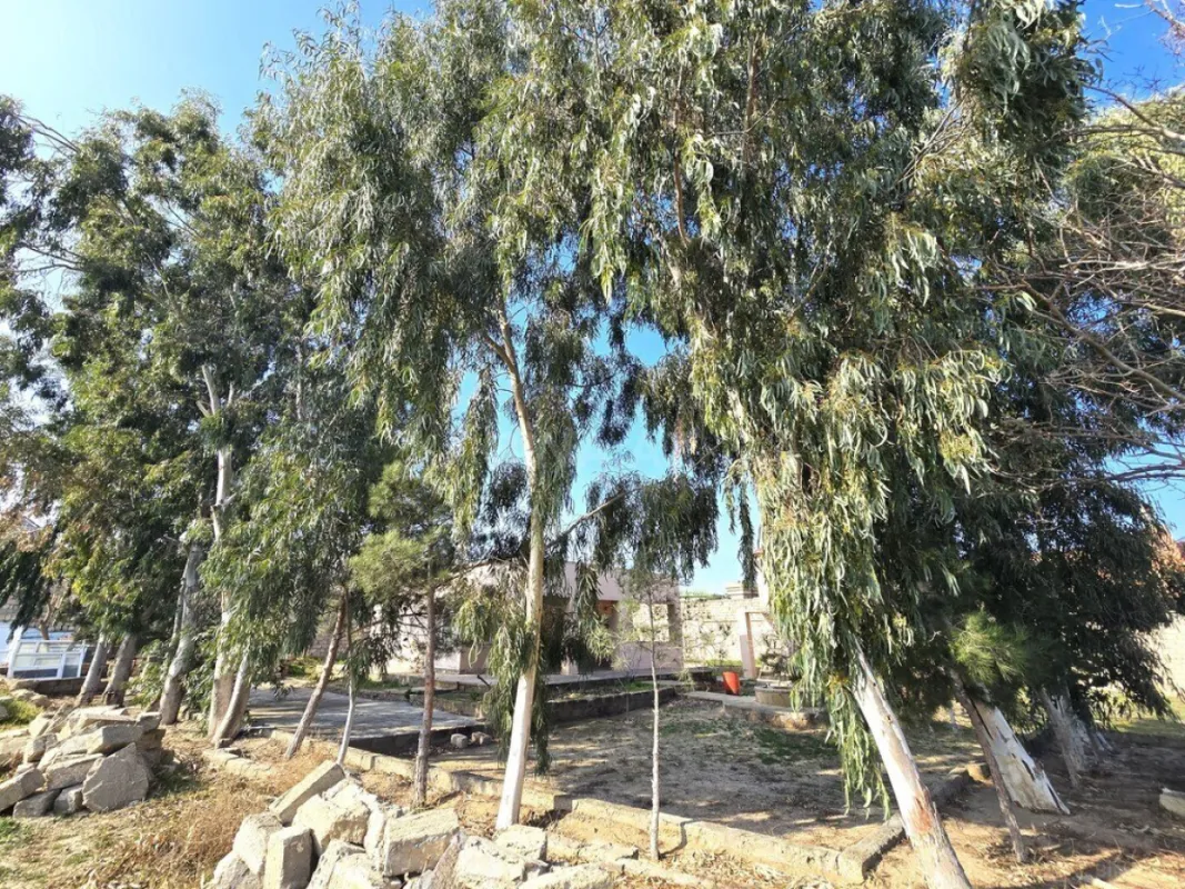 Satılır torpaq sahəsi 100 m²