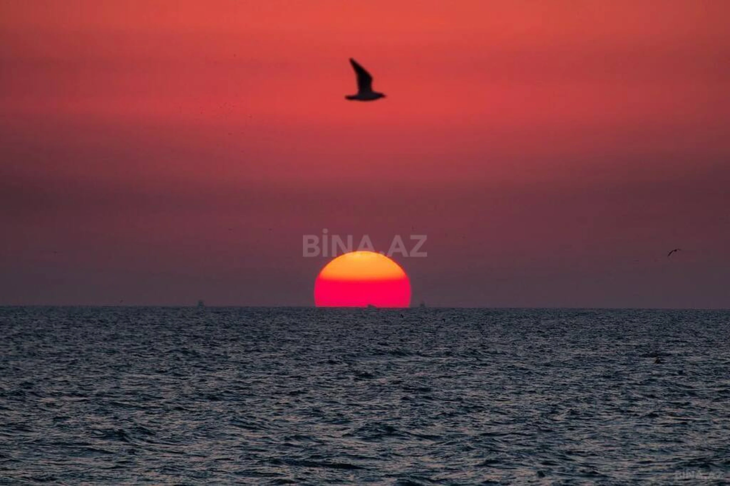 Satılır torpaq sahəsi 100 m²