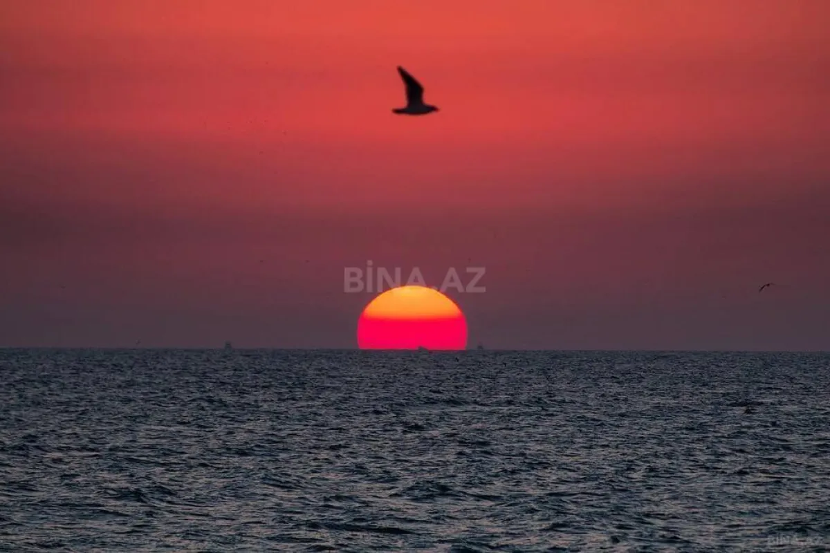 Satılır torpaq sahəsi 100 m²