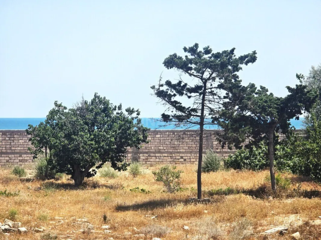 Satılır torpaq sahəsi 100 m²