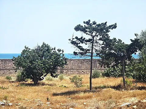 Satılır torpaq sahəsi 100 m²