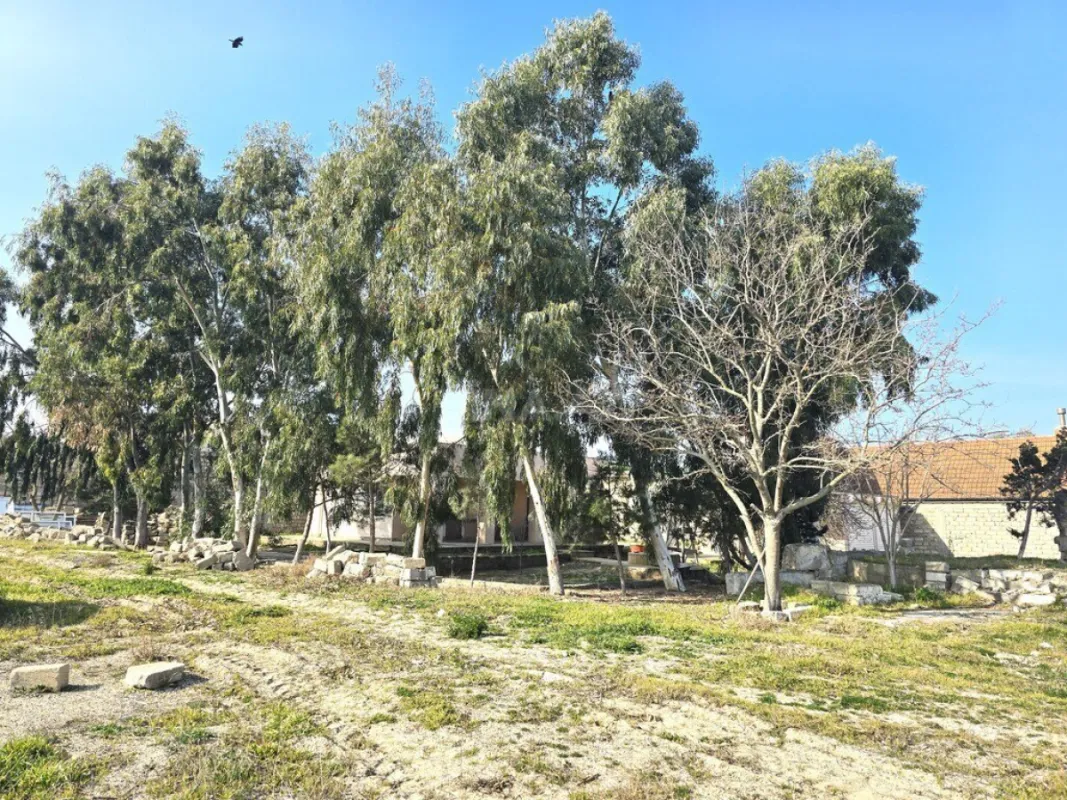 Satılır torpaq sahəsi 100 m²