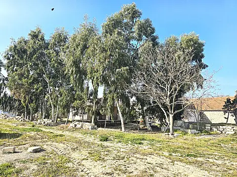 Satılır torpaq sahəsi 100 m²