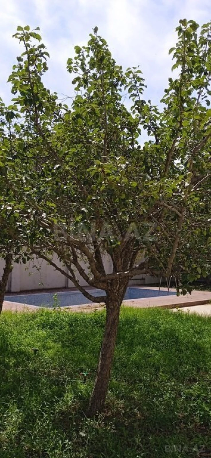 Satılır 5 otaqlı həyət evi 258 m²