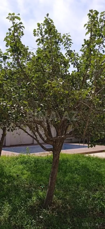 Satılır 5 otaqlı həyət evi 258 m²