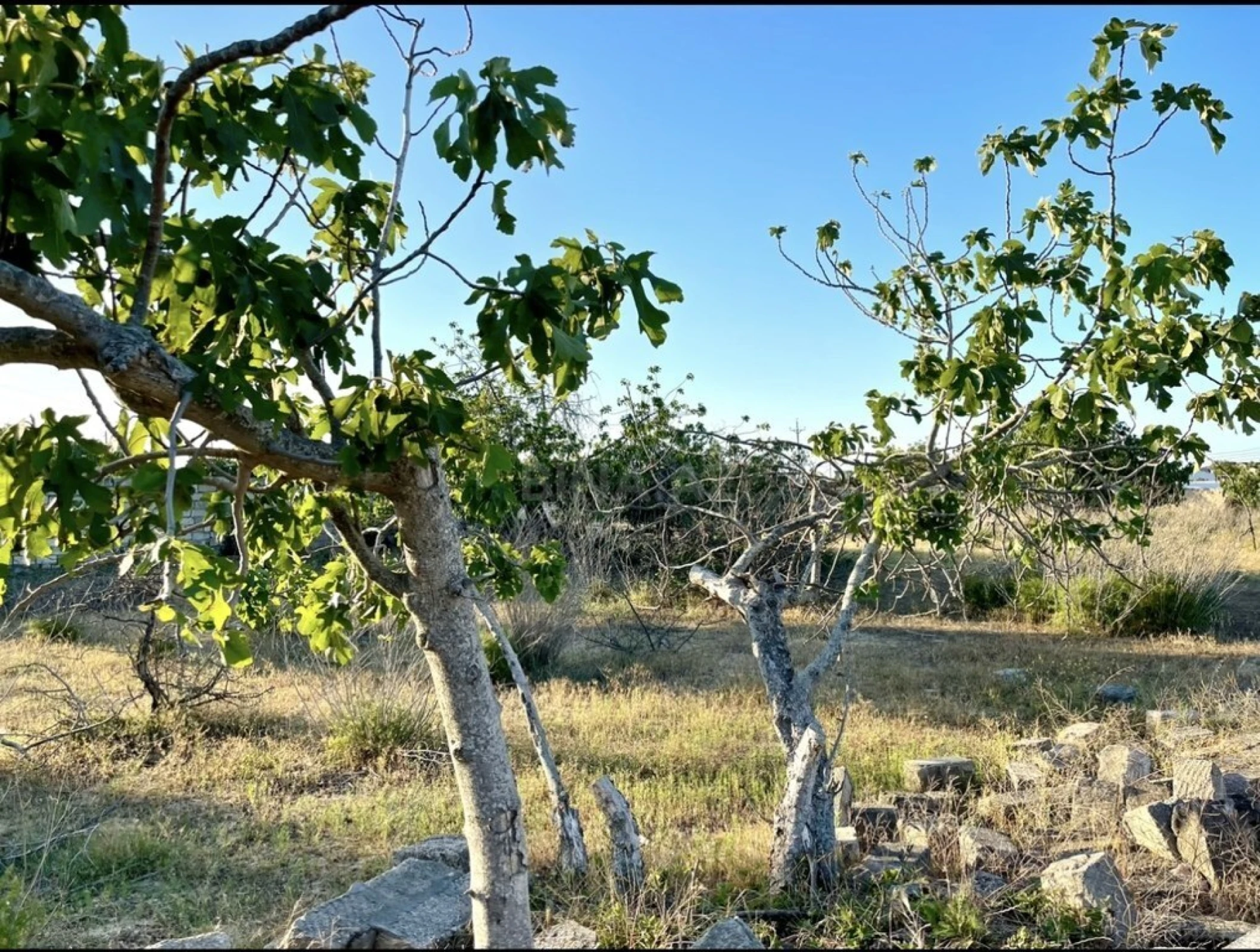 Satılır torpaq sahəsi 18 m²