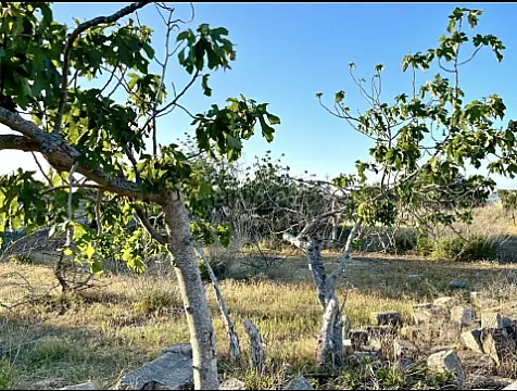 Satılır torpaq sahəsi 18 m²