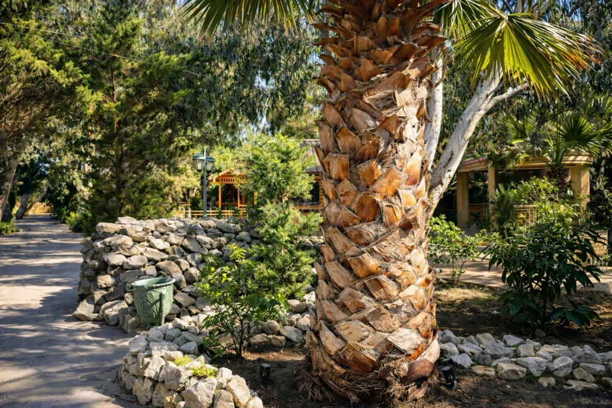 Satılır obyekt 1000 m²