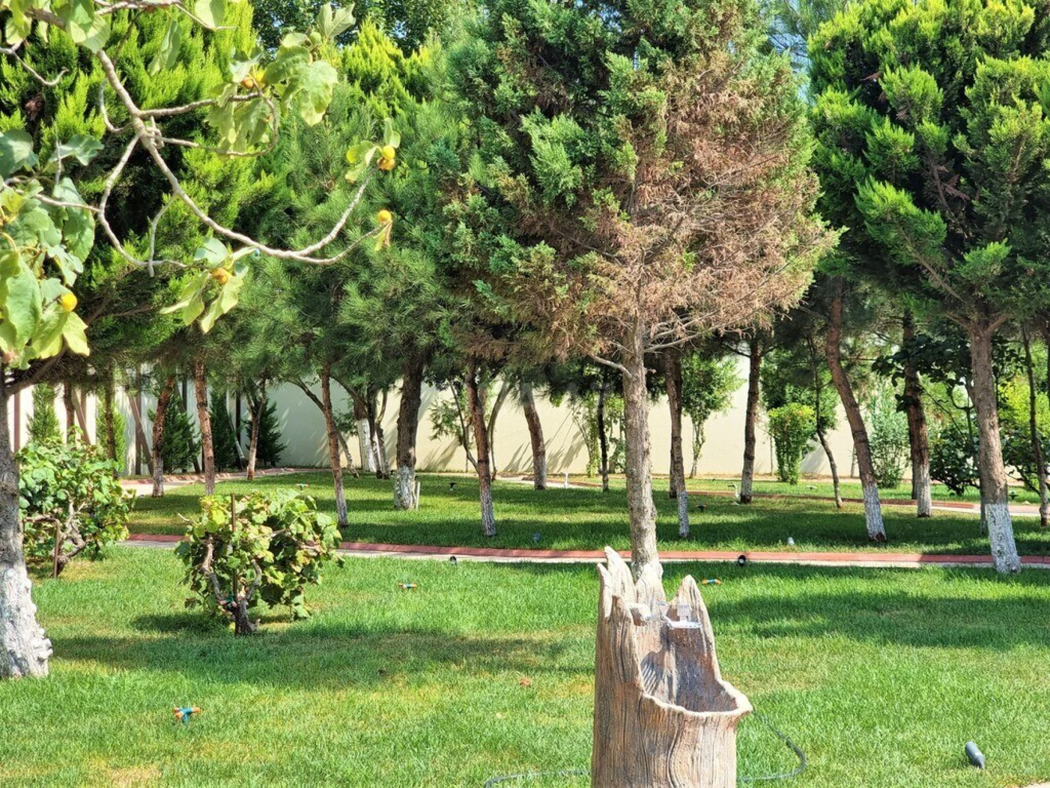 Kirayə verilir 8 otaqlı həyət evi 700 m²