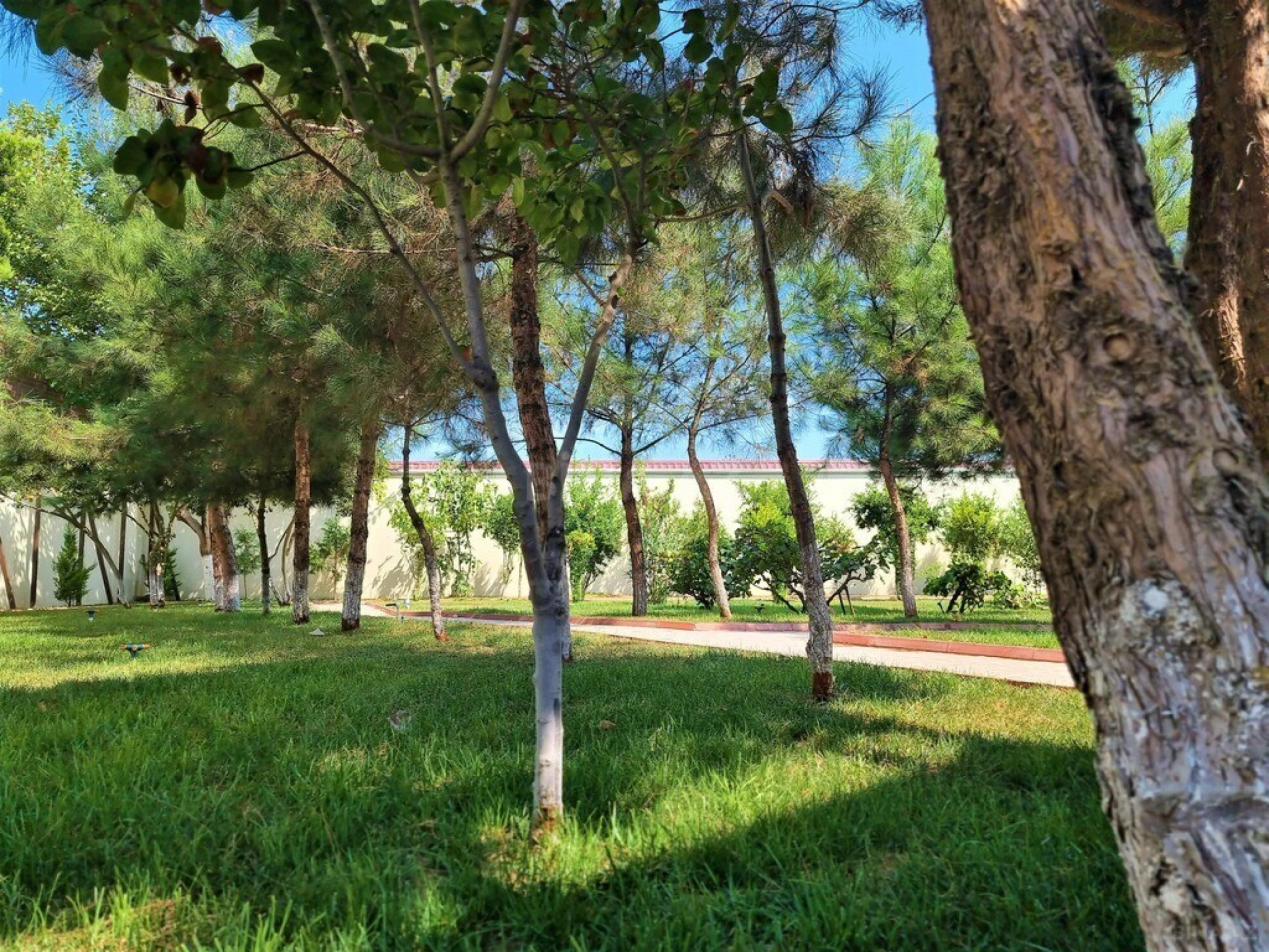 Kirayə verilir 8 otaqlı həyət evi 700 m²