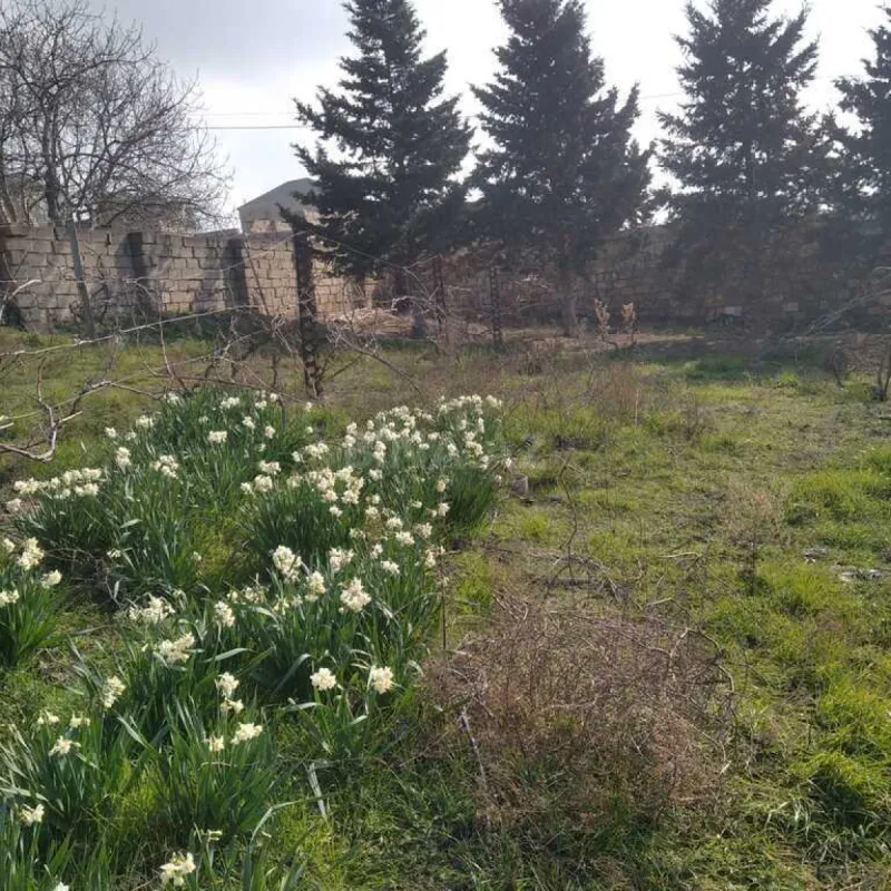 Satılır 5 otaqlı həyət evi 230 m²