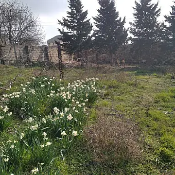 Satılır 5 otaqlı həyət evi 230 m²