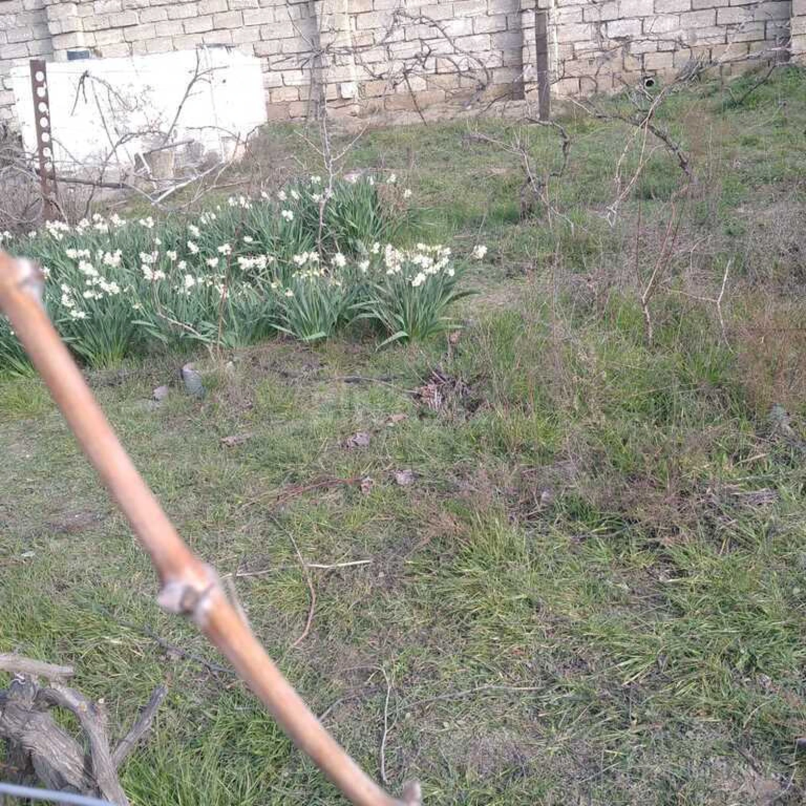 Satılır 5 otaqlı həyət evi 230 m²