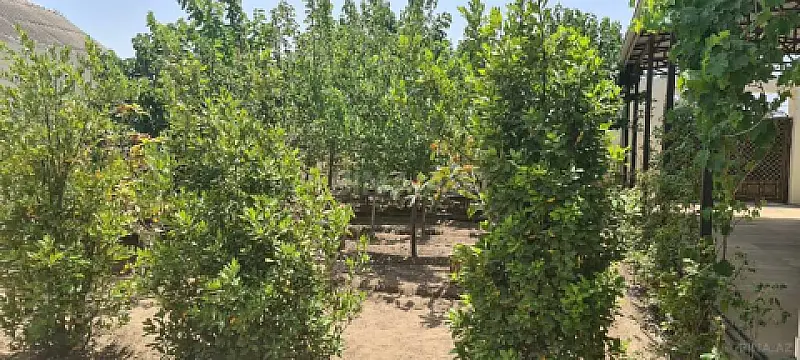 Satılır 5 otaqlı həyət evi 600 m²