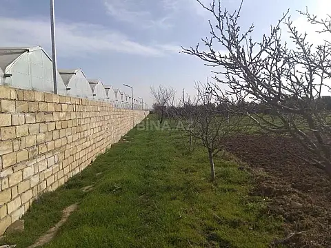 Satılır torpaq sahəsi 60 m²