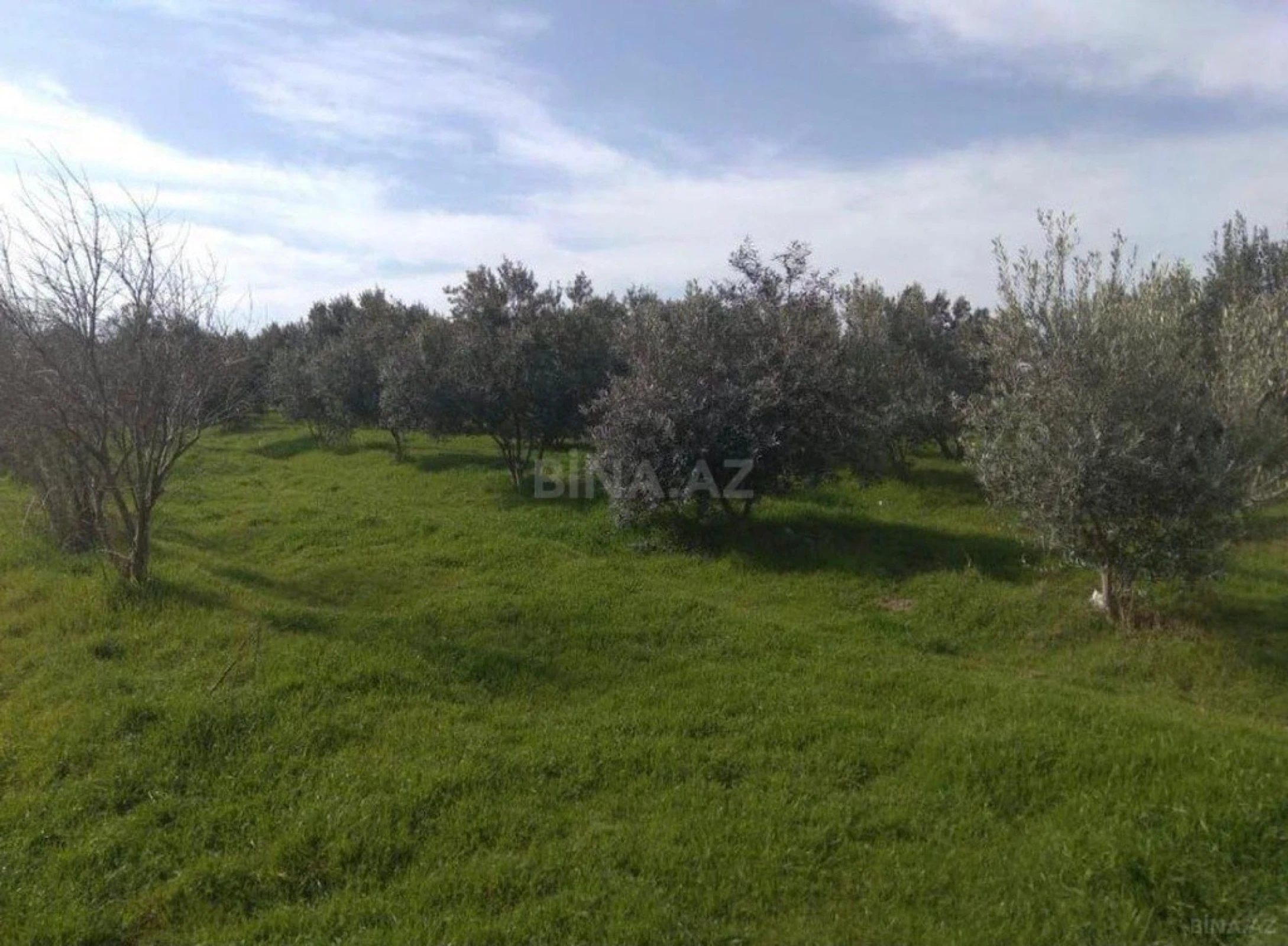 Satılır torpaq sahəsi 60 m²