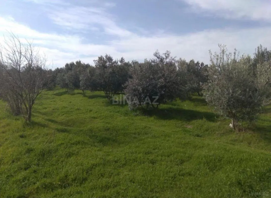 Satılır torpaq sahəsi 60 m²