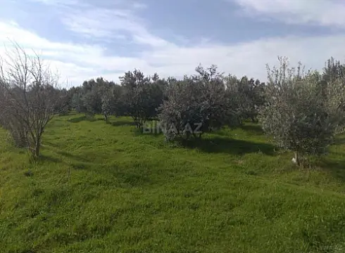 Satılır torpaq sahəsi 60 m² — Bakı, Novxanı 60.00 m²