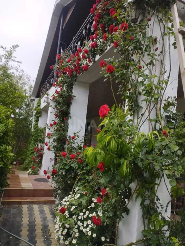 Satılır 5 otaqlı həyət evi 300 m²