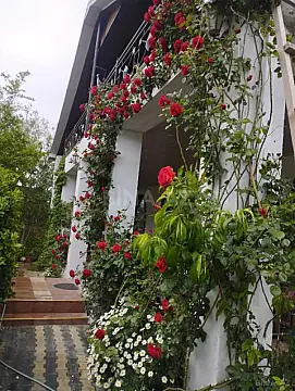 Satılır 5 otaqlı həyət evi 300 m² — Bakı, Mərdəkan 5 otaq 300.00 m²