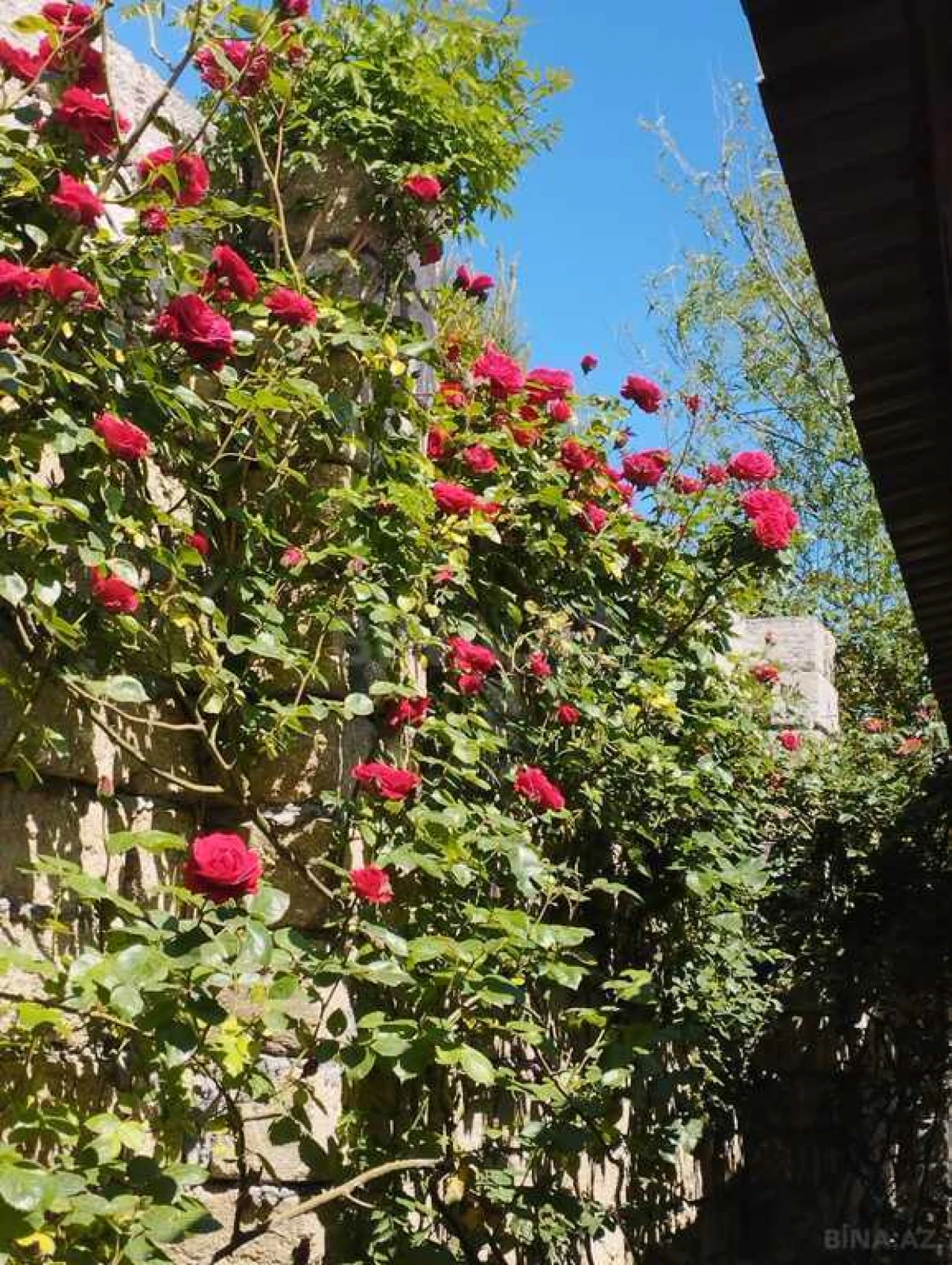 Satılır 5 otaqlı həyət evi 300 m²