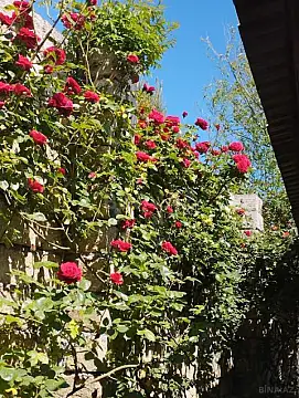 Satılır 5 otaqlı həyət evi 300 m²