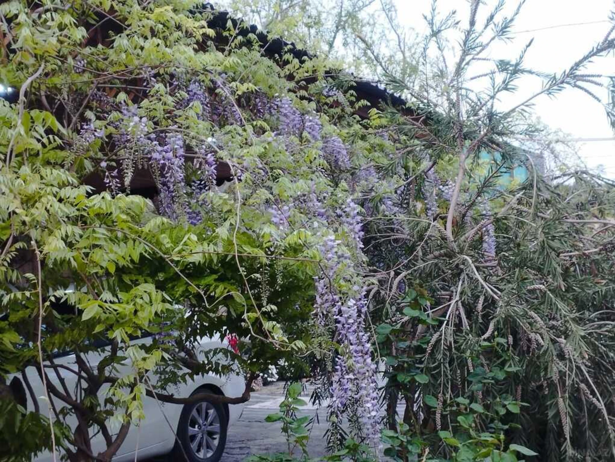 Satılır 5 otaqlı həyət evi 300 m²