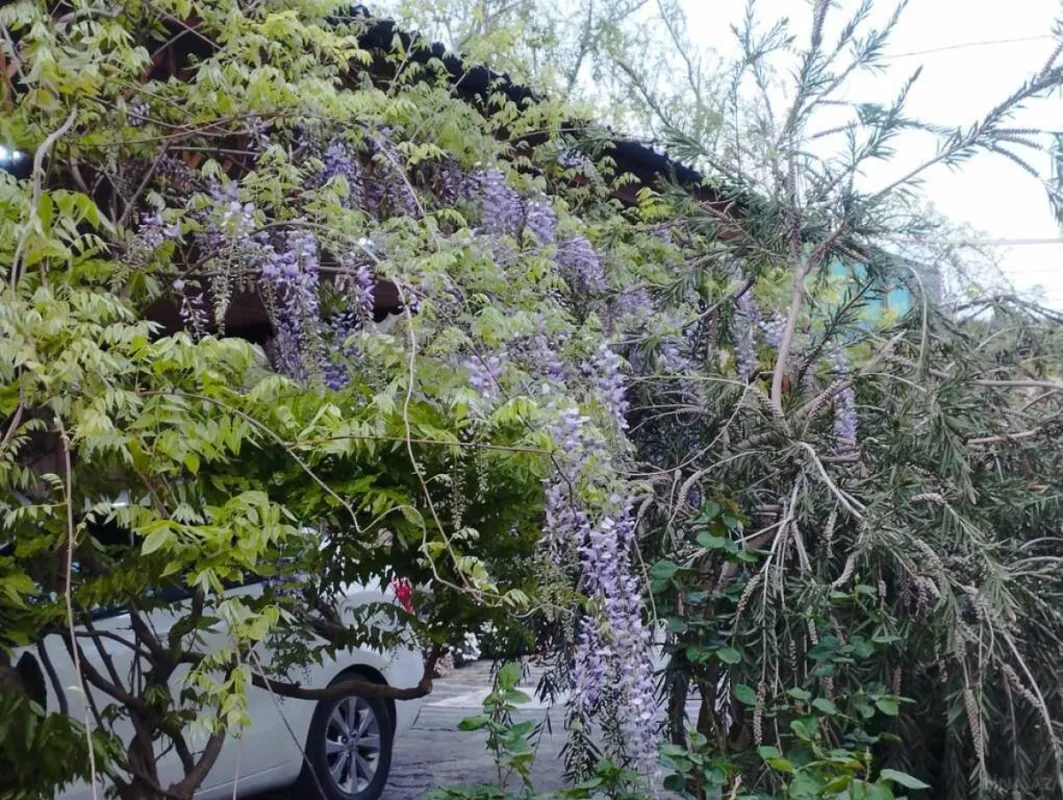 Satılır 5 otaqlı həyət evi 300 m²