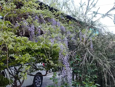 Satılır 5 otaqlı həyət evi 300 m²