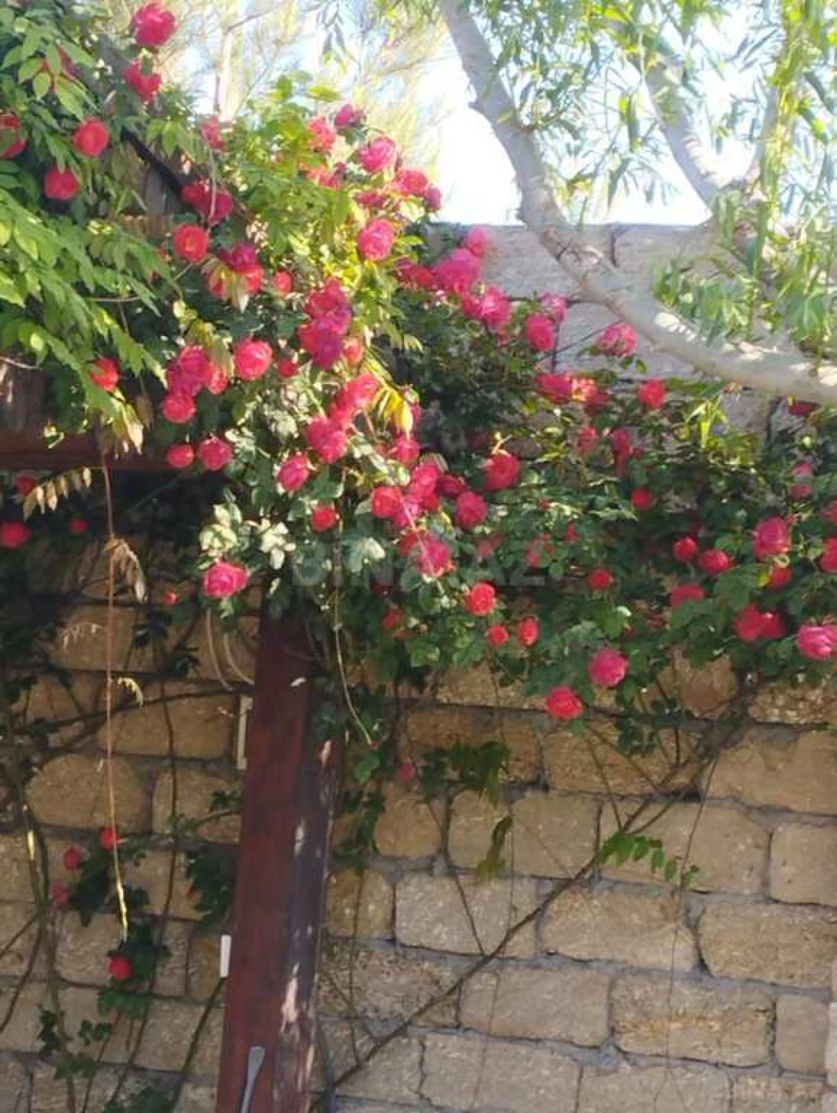 Satılır 5 otaqlı həyət evi 300 m²