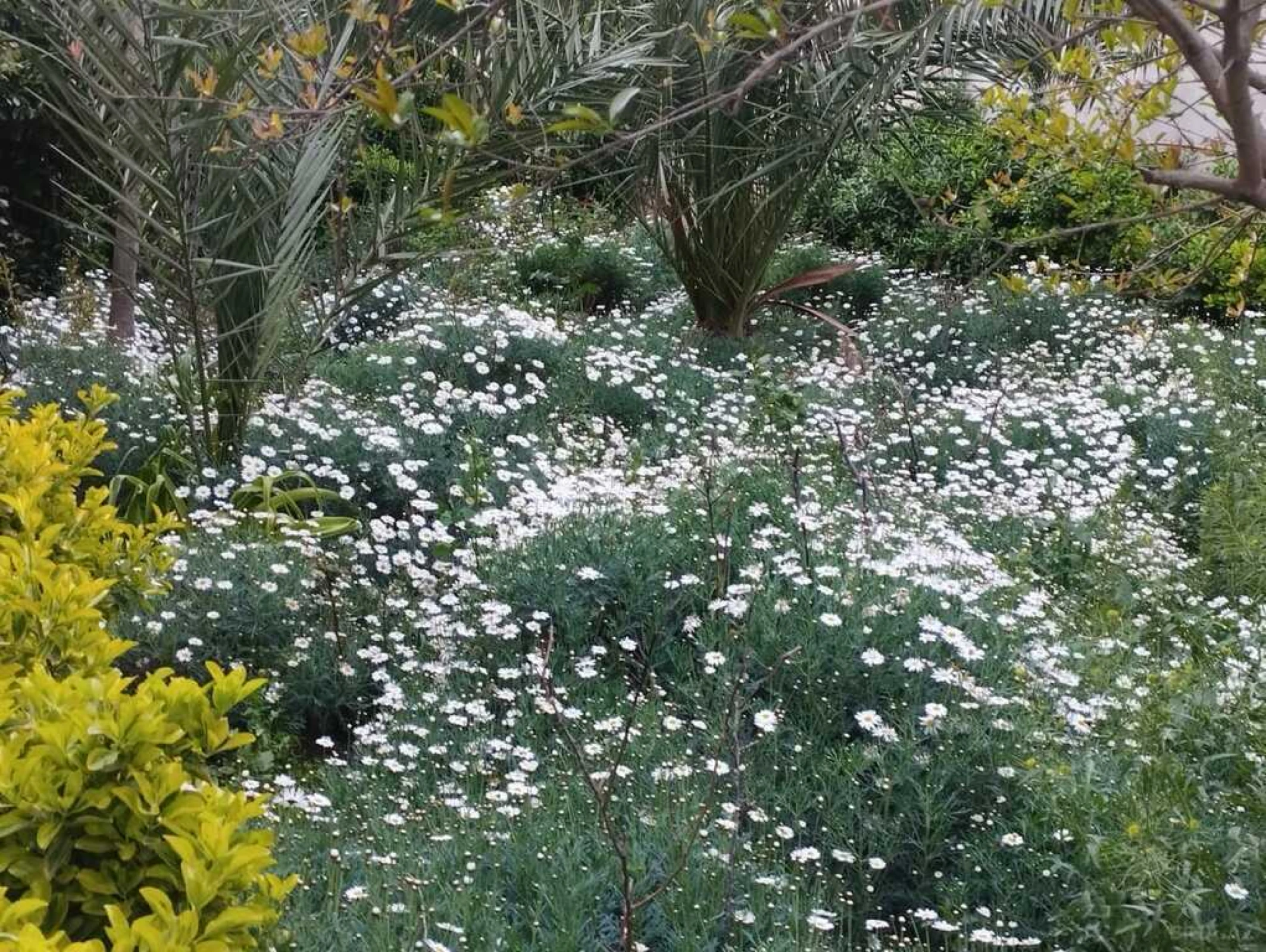 Satılır 5 otaqlı həyət evi 300 m²