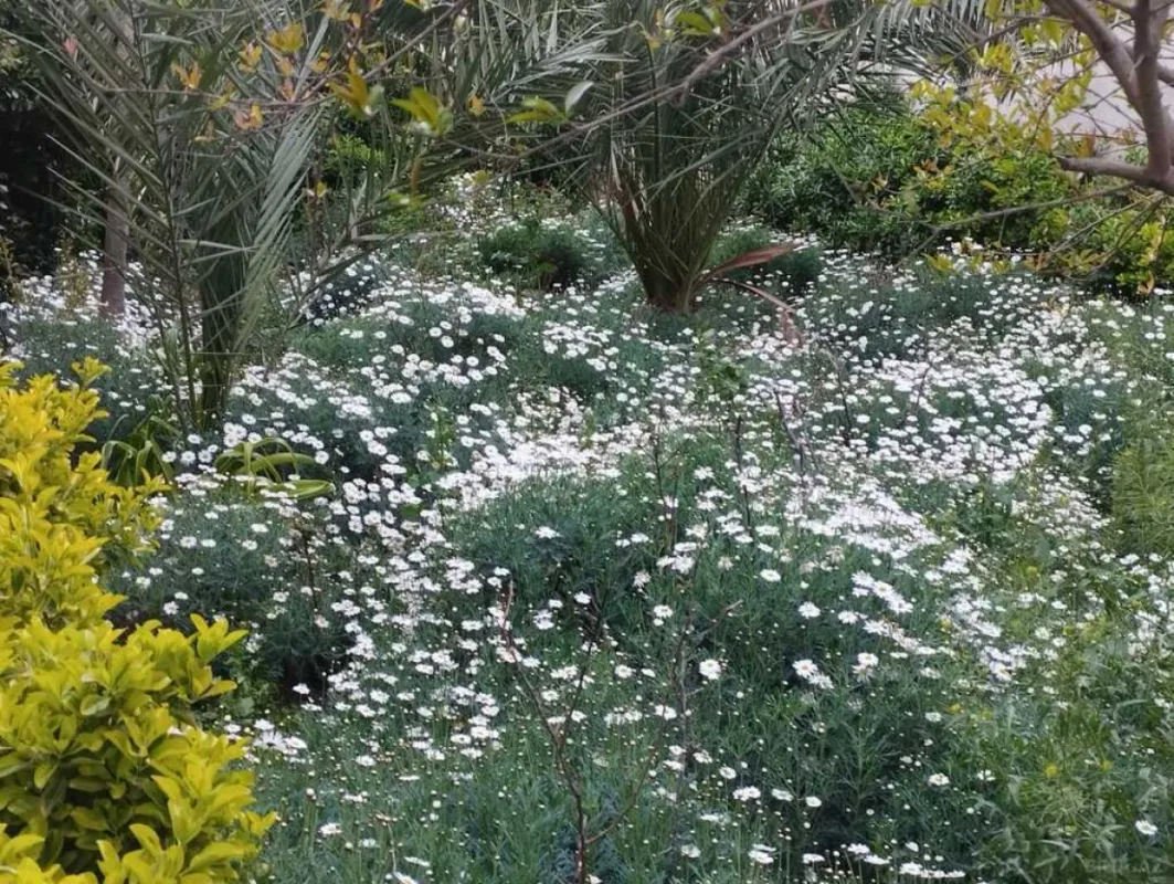 Satılır 5 otaqlı həyət evi 300 m²