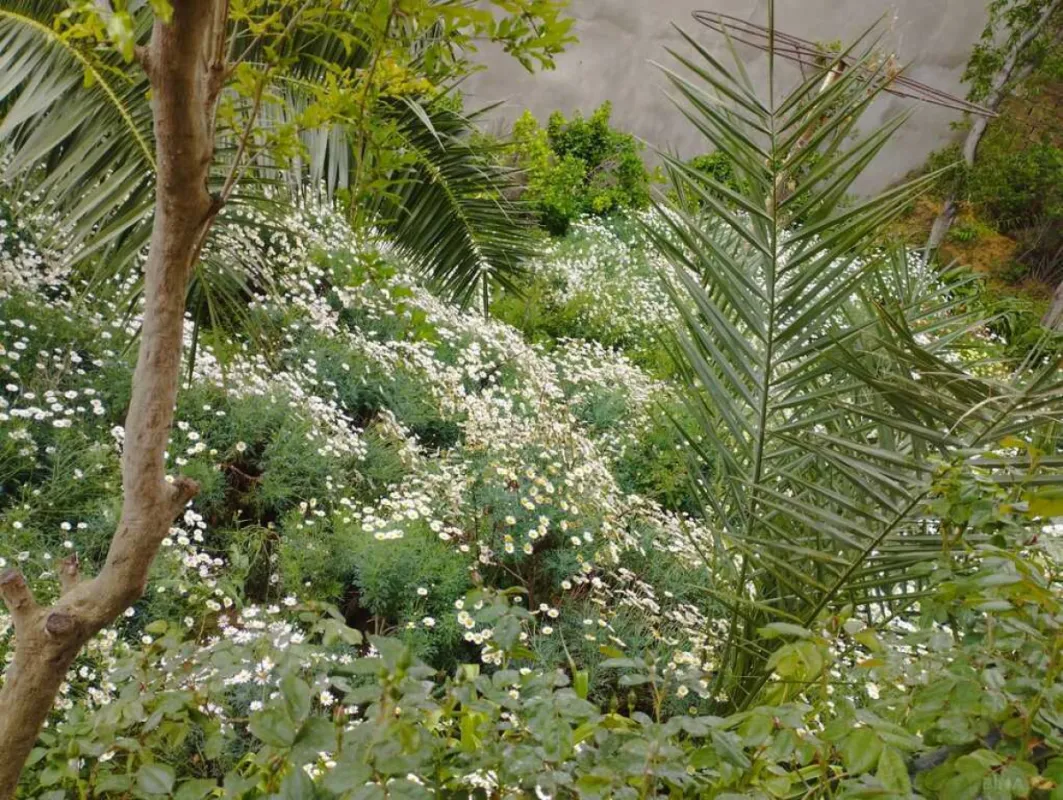 Satılır 5 otaqlı həyət evi 300 m²