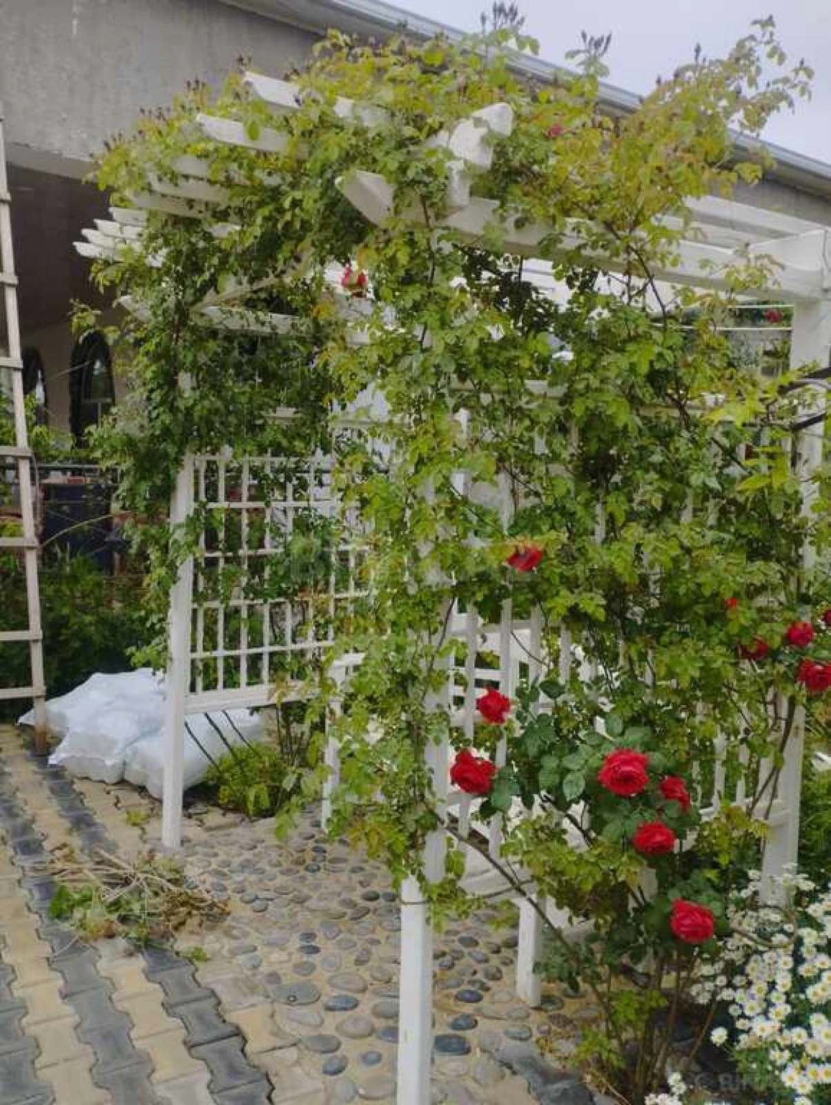 Satılır 5 otaqlı həyət evi 300 m²