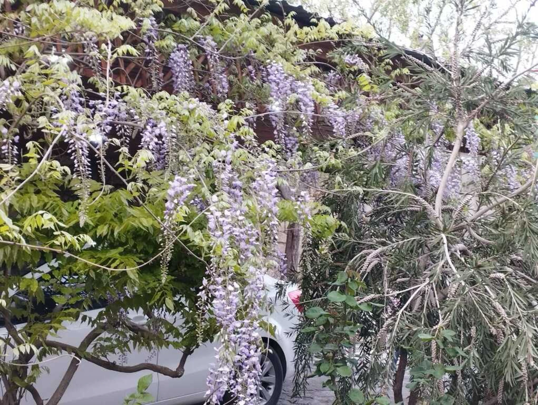 Satılır 5 otaqlı həyət evi 300 m²