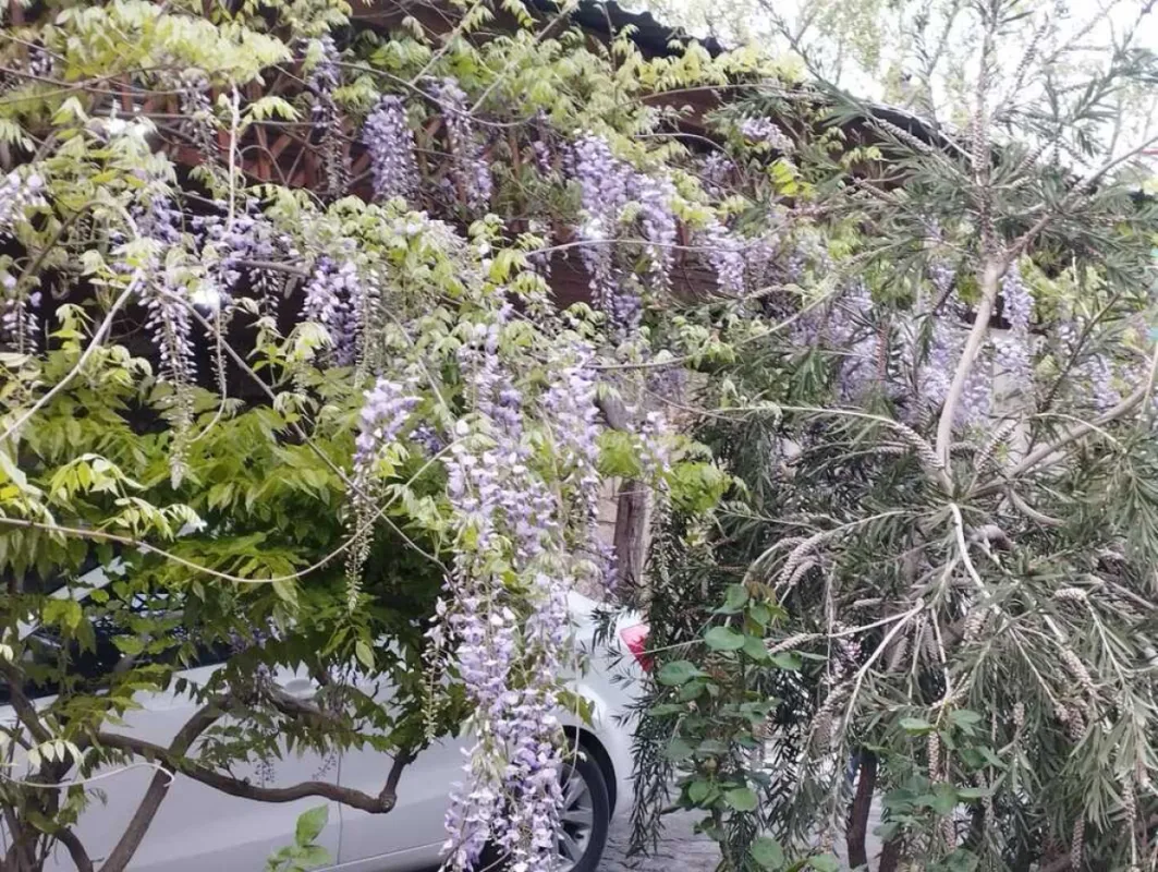 Satılır 5 otaqlı həyət evi 300 m²