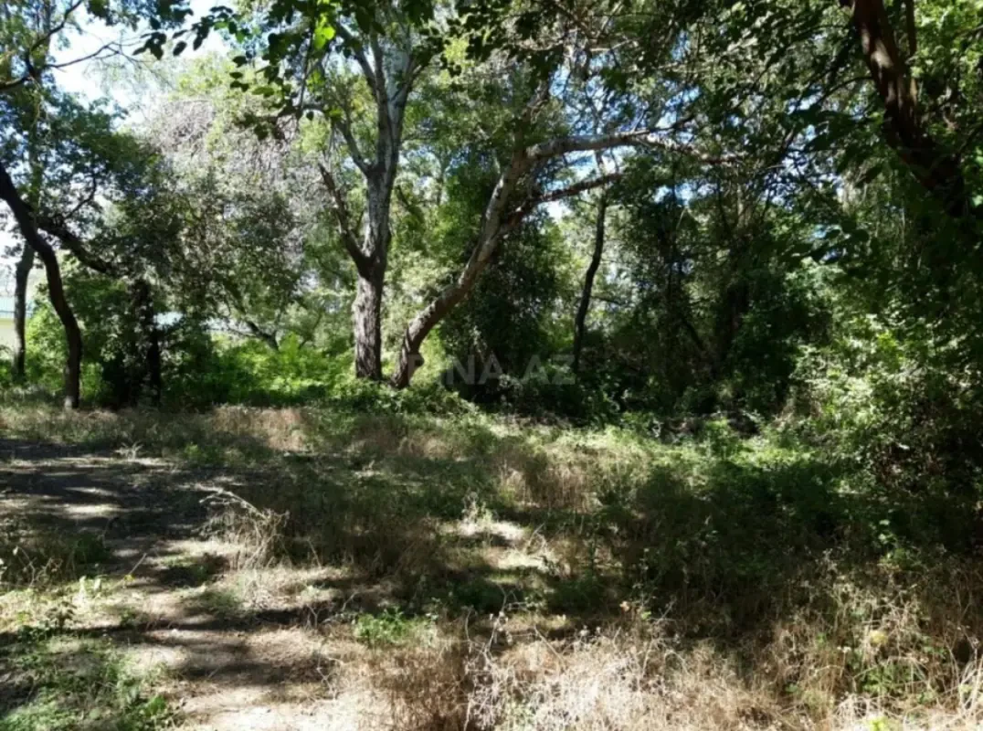 Satılır torpaq sahəsi 101 m²