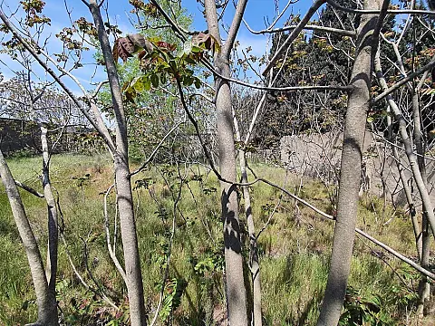 Satılır torpaq sahəsi 7 m²